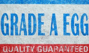 Managing Vendor Quality